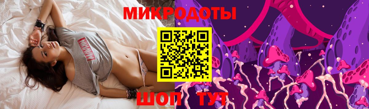 где найти   Галлюциногенные грибы GOLDEN TEACHER  Вход с VPN  Чайковский 